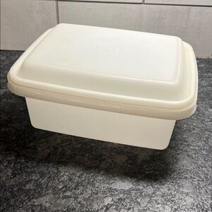 Vintage Tupperware ice cream or frozen dessert container. Storage container